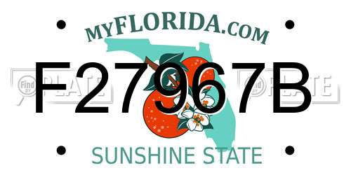 F27967B Florida License Plate