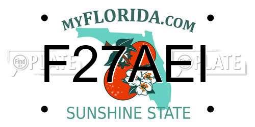 F27AEI Florida License Plate