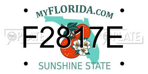 F2817E Florida License Plate