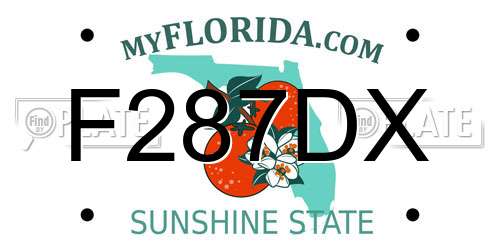 F287DX Florida License Plate