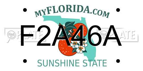 F2A46A Florida License Plate