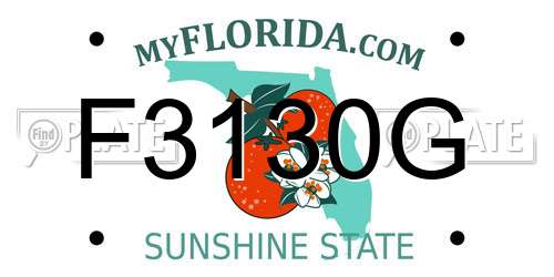 F3130G Florida License Plate