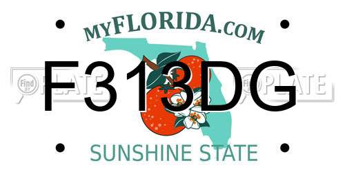 F313DG Florida License Plate