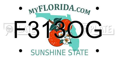F313OG Florida License Plate