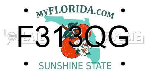 F313QG Florida License Plate