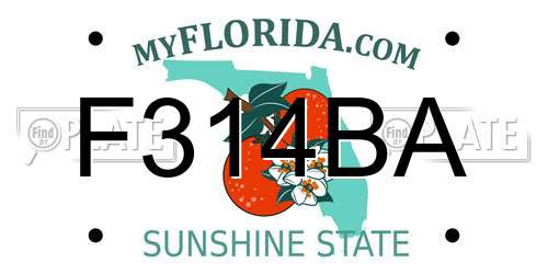 F314BA Florida License Plate