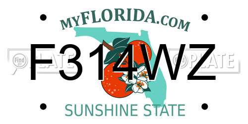 F314WZ Florida License Plate