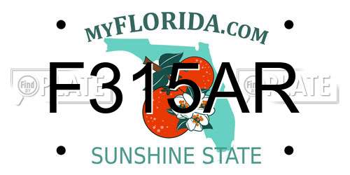 F315AR Florida License Plate