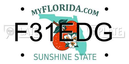 F31EDG Florida License Plate