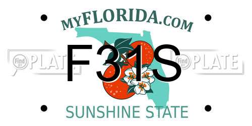 F31S Florida License Plate