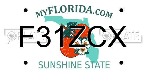 F31ZCX Florida License Plate