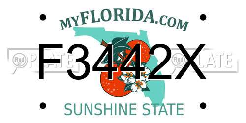 F3442X Florida License Plate
