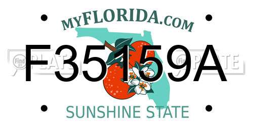 F35159A Florida License Plate