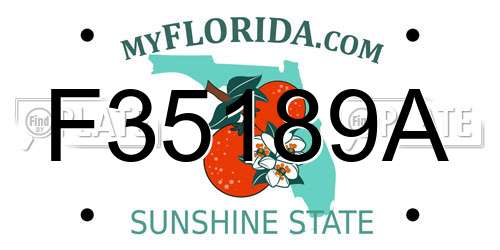 F35189A Florida License Plate