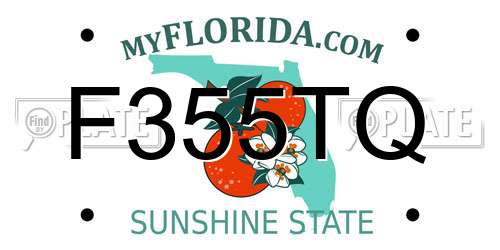 F355TQ Florida License Plate