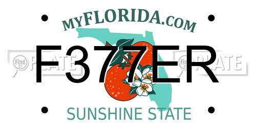 F377ER Florida License Plate