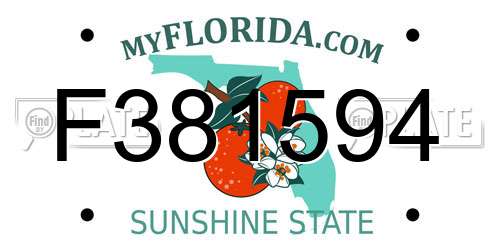 F381594 Florida License Plate