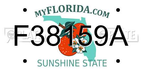 F38159A Florida License Plate