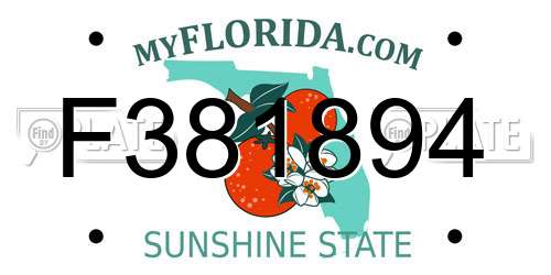 F381894 Florida License Plate