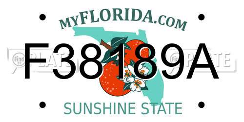 F38189A Florida License Plate