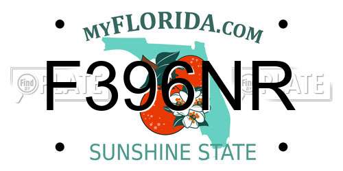 F396NR Florida License Plate