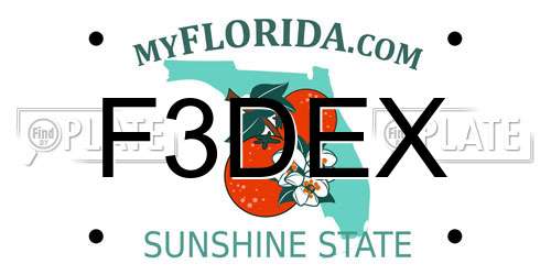 F3DEX Florida License Plate