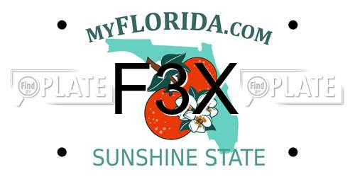 F3X Florida License Plate