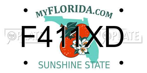 F411XD Florida License Plate