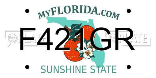F421GR Florida License Plate