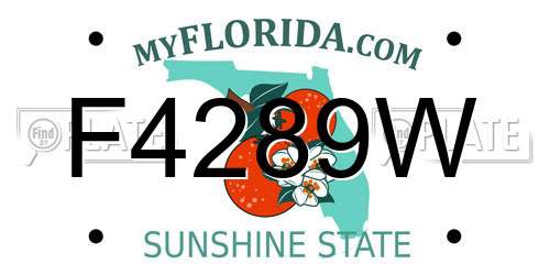 F4289W Florida License Plate