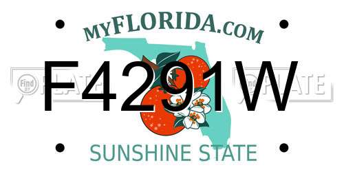F4291W Florida License Plate