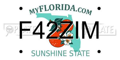 F42ZIM Florida License Plate