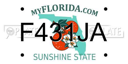 F431JA Florida License Plate