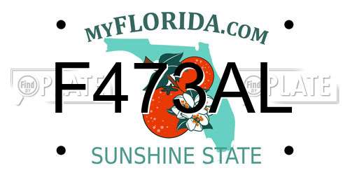 F473AL Florida License Plate
