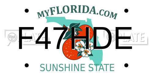 F47HDE Florida License Plate