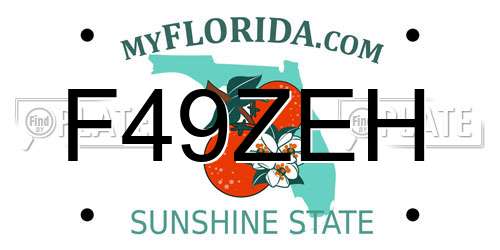 F49ZEH Florida License Plate