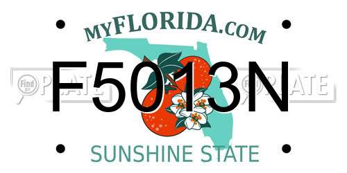 F5013N Florida License Plate