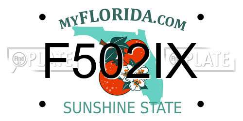 F502IX Florida License Plate