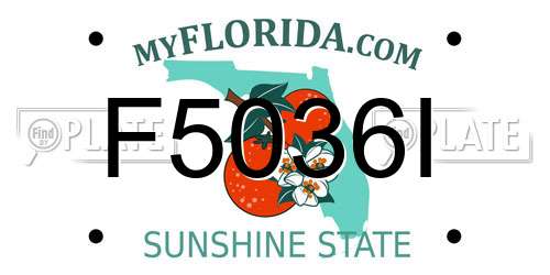 F5036I Florida License Plate