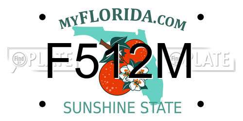 F512M Florida License Plate