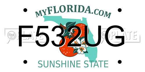 F532UG Florida License Plate