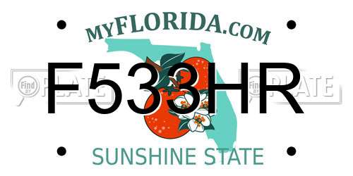 F533HR Florida License Plate