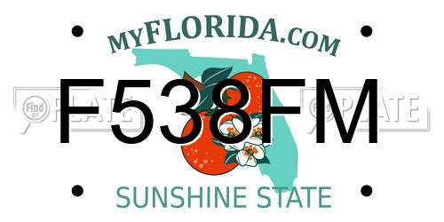 F538FM Florida License Plate