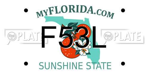 F53L Florida License Plate