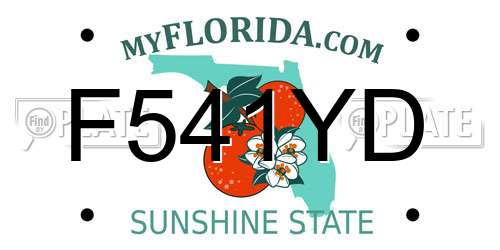 F541YD Florida License Plate