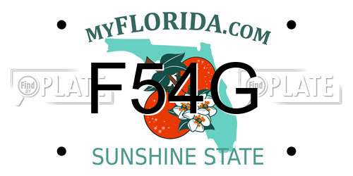 F54G Florida License Plate