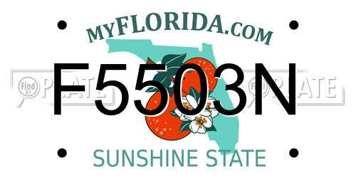 F5503N Florida License Plate