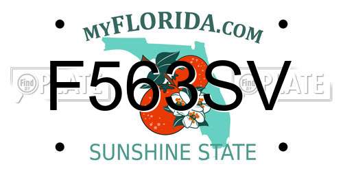 F563SV Florida License Plate