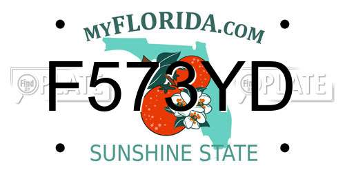 F573YD Florida License Plate