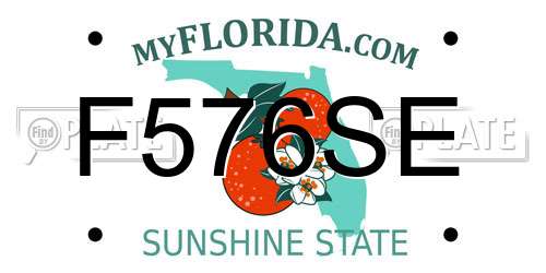 F576SE Florida License Plate